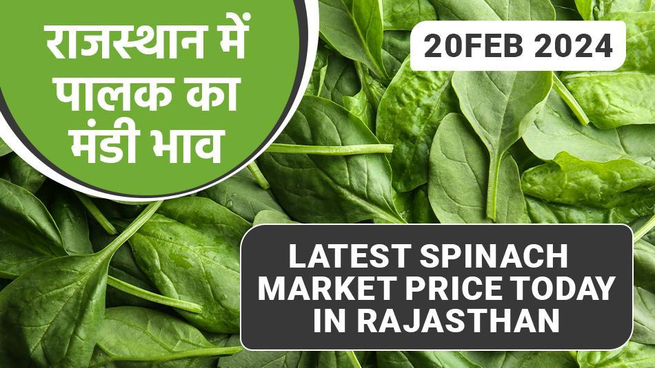 Potato market price today in Delhi (March 21, 2024)