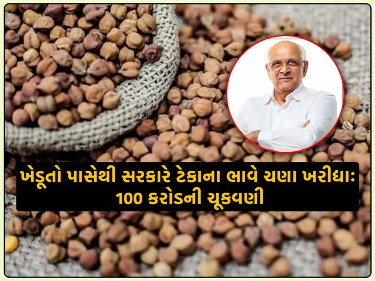 ખેડૂતો માટે ખુશખબર: ગુજરાત સરકારે ખેડૂતો પાસેથી ટેકાના ભાવ ચણાની ખરીદીની 100 કરોડની ચૂકવણી કરી