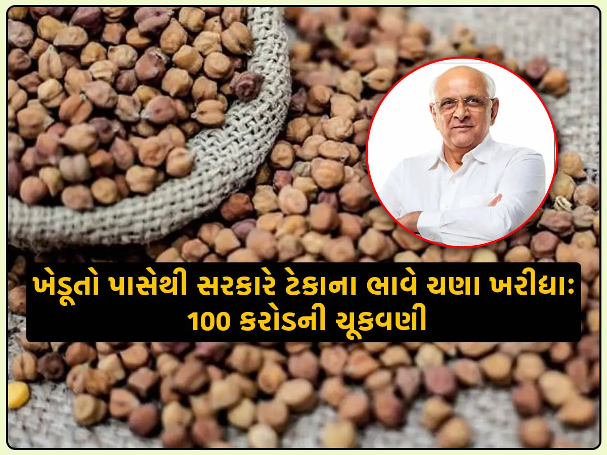 ખેડૂતો માટે ખુશખબર: ગુજરાત સરકારે ખેડૂતો પાસેથી ટેકાના ભાવ ચણાની ખરીદીની 100 કરોડની ચૂકવણી કરી