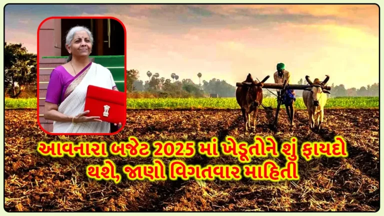 Union budget 2025 expectations: નવું બજેટ 2025-26 અંદાજપત્રમાં દેશની નિકાસ વધારવા માટે ઓર્ગેનિક ફાર્મિંગ માટેની આશાઓ
