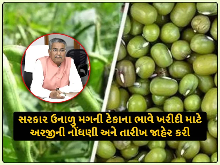 ખેડૂતો આનંદો: ગુજરાત સરકાર ખેડૂતો પાસેથી ઉનાળુ મગની ટેકાના ભાવે ખરીદી માટે અરજીની નોંધણી અને તારીખ જાહેર કરી