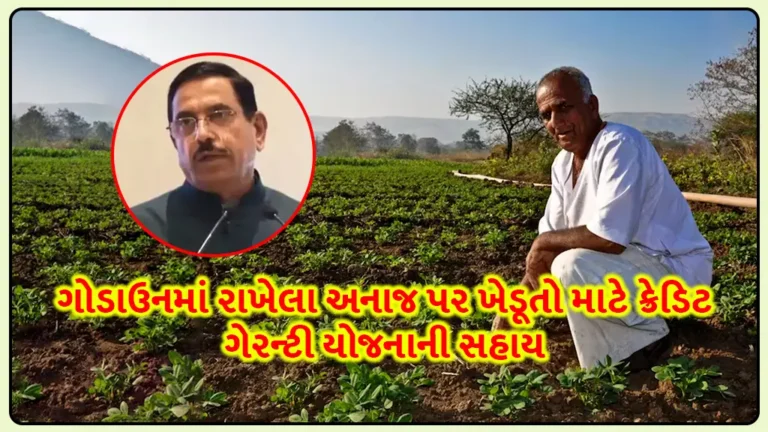 Credit Guarantee Yojana: ખેડૂતોના હિતમાં કેન્‍દ્ર સરકારનો નિર્ણય : ગોડાઉનમાં રાખેલા અનાજ પર ખેડૂતો માટે ક્રેડિટ ગેરન્‍ટી યોજનાની સહાય