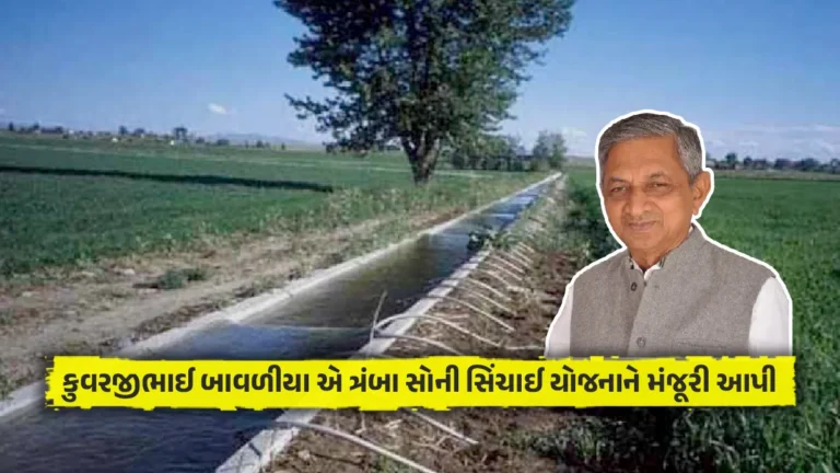 સૌની સિંચાઈ યોજના: ગુજરાત રાજ્ય મંત્રી કુવરજીભાઈ બાવળીયા એ ત્રંબા સૌની સિંચાઈ યોજનાને મંજૂરી આપી