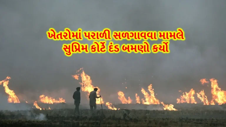 Stubble burning: ખેતરોમાં પરાળી સળગાવવા મામલે સુપ્રિમ કોર્ટે દંડ બમણો કર્યો