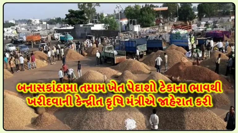 Tekana Bhav: બનાસકાંઠામા તમામ ખેત પેદાશો ટેકાના ભાવથી ખરીદવાની કેન્દ્રીત કૃષિ મંત્રી શિવરાજસિંહ ચૌહાણે જાહેરાત કરી