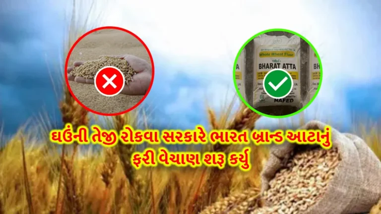 Bharat Brand Atta: ઘઉંની તેજી રોકવા સરકારે ભારત બ્રાન્ડ આટાનું ફરી વેચાણ શરૂ કર્યુ