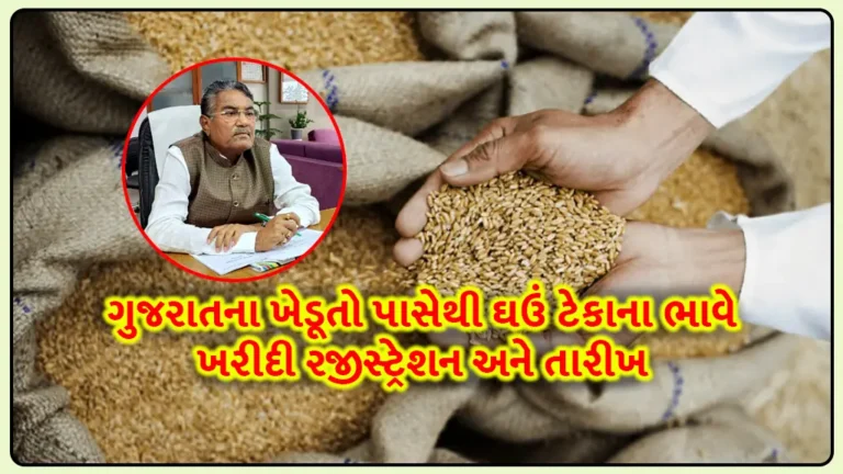 આ તારીખથી લઘુતમ ટેકાના ભાવે ગુજરાતના ખેડૂતો પાસેથી 2425 પ્રતિ ક્વીન્ટલ લેખે ઘઉં ટેકાના ભાવે ખરીદી રજીસ્ટ્રેશન અને તારીખ